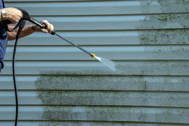 Best Roof Pressure Washing  in Chinook, MT
